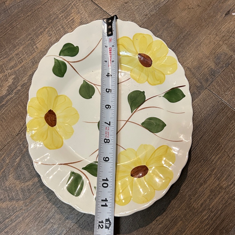 Blue Ridge Southern Potteries Ridge Daisy platter and Serving Bowl Hand Painted - Picture 10 of 10